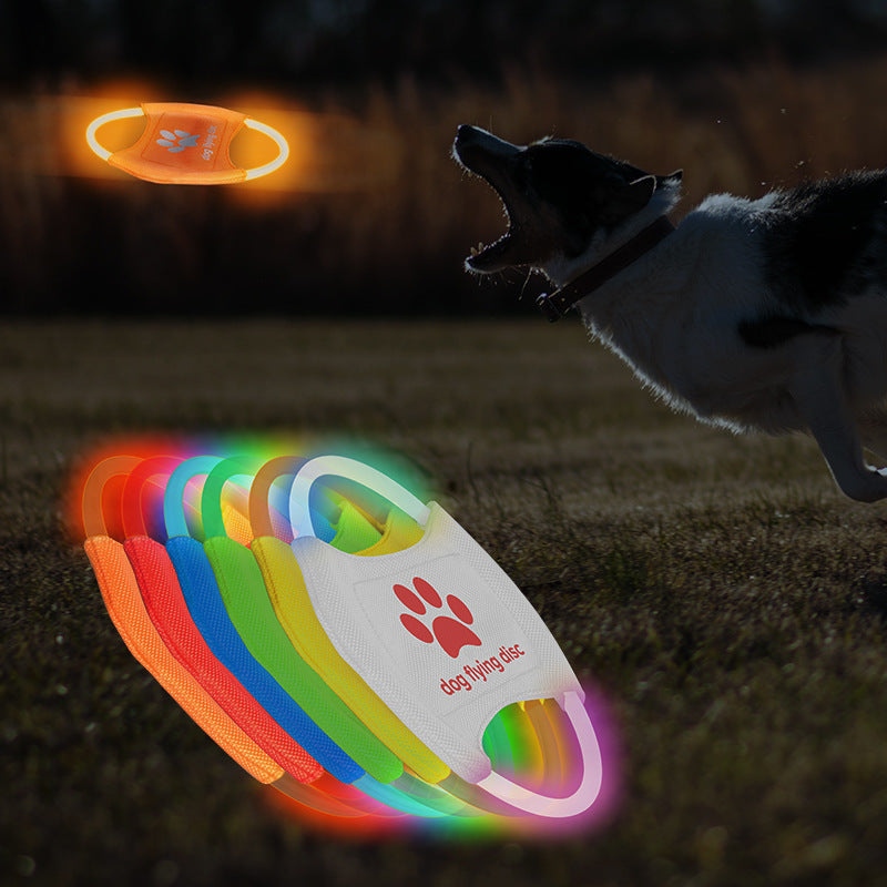 Rechargeable Dog Frisbee