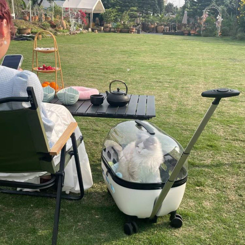 Portable Transparent Pet Trolley