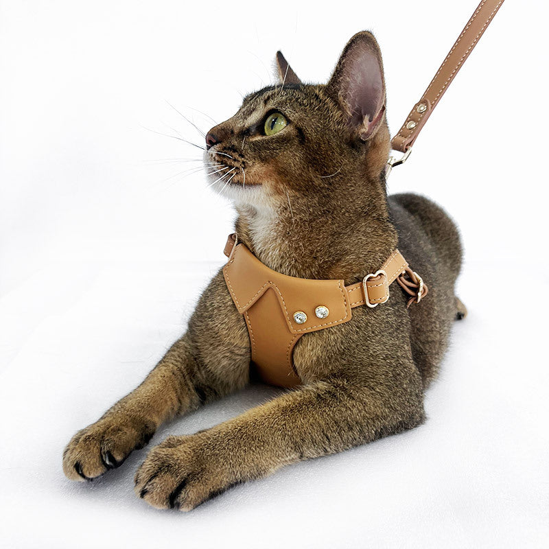 Premium Leather Pet Harness Set
