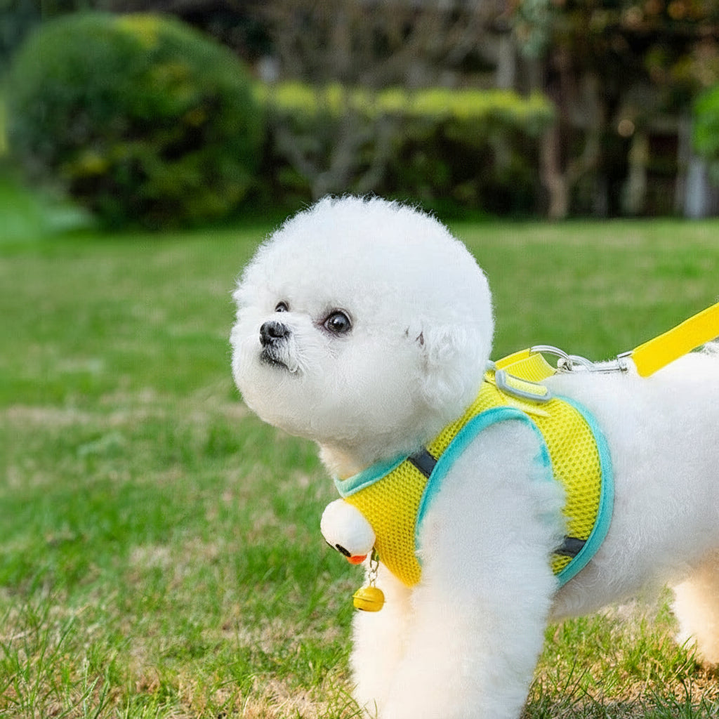 Big-Eyes Cartoon Pet Harness & Leash Set