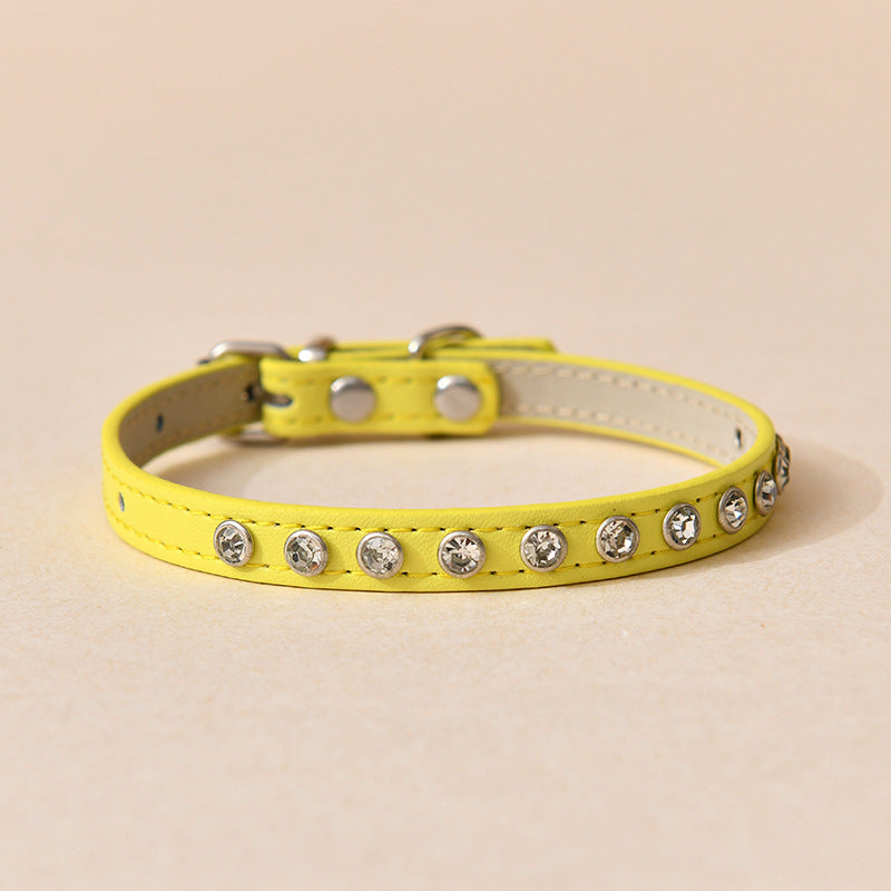 Bee Cat Leash & Adjustable Harness Set