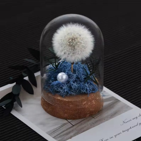 Dandelion Glass Dome