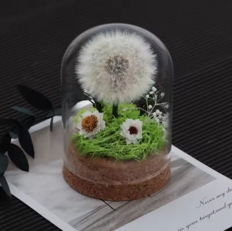 Dandelion Glass Dome