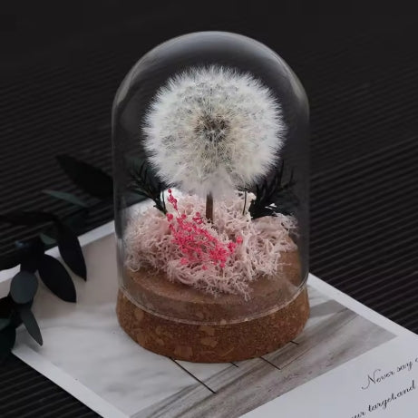 Dandelion Glass Dome