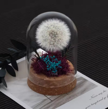 Dandelion Glass Dome