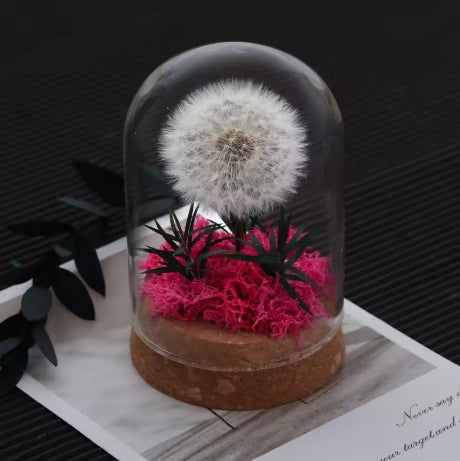Dandelion Glass Dome