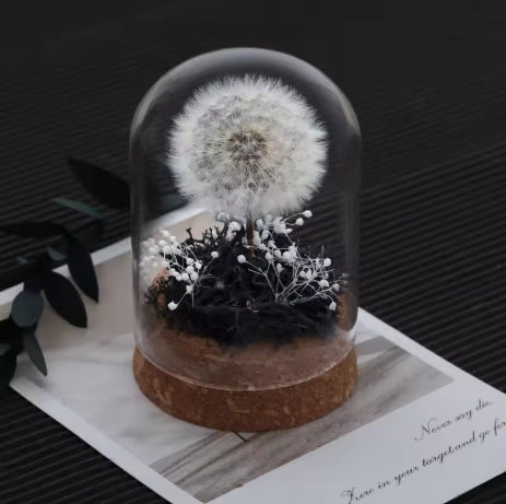 Dandelion Glass Dome