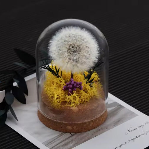 Dandelion Glass Dome