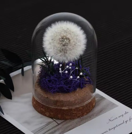 Dandelion Glass Dome