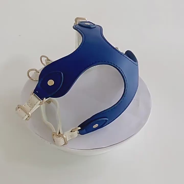 Luxury Pet Harness & Leash Set