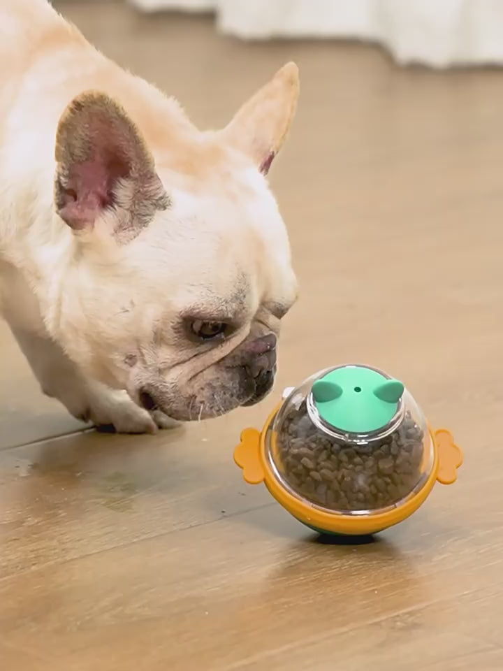 Interactive Pet Treat Ball