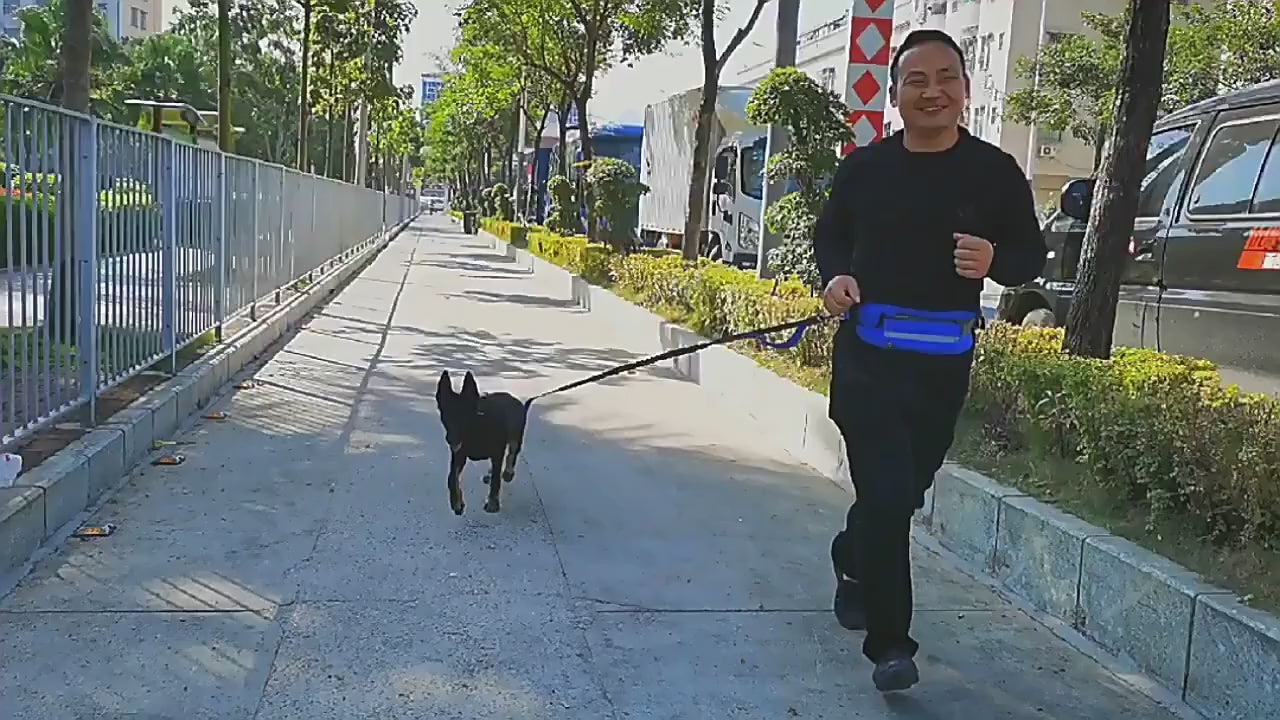 Luxury Pet Harness & Leash Set