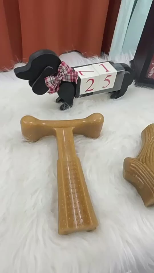 Dog Bone Toy