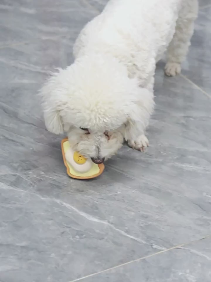 Cute Squeaky Dog Toy